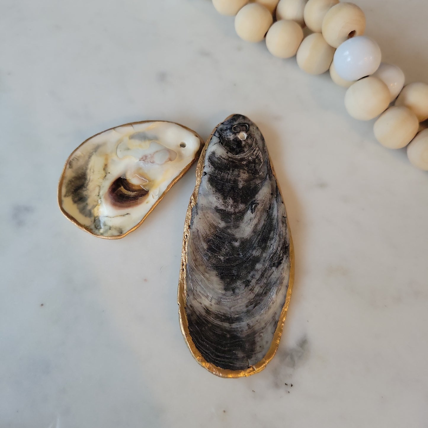 Natural Shell Ornament: Customizable