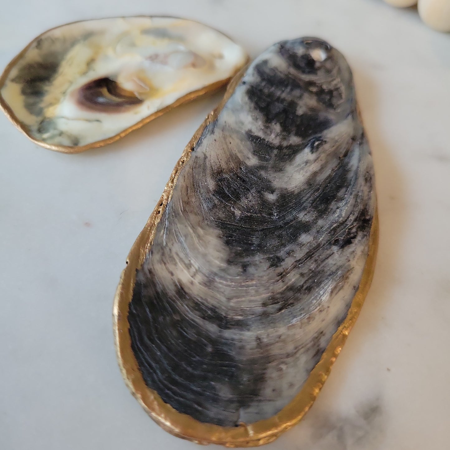 Natural Shell Ornament: Customizable