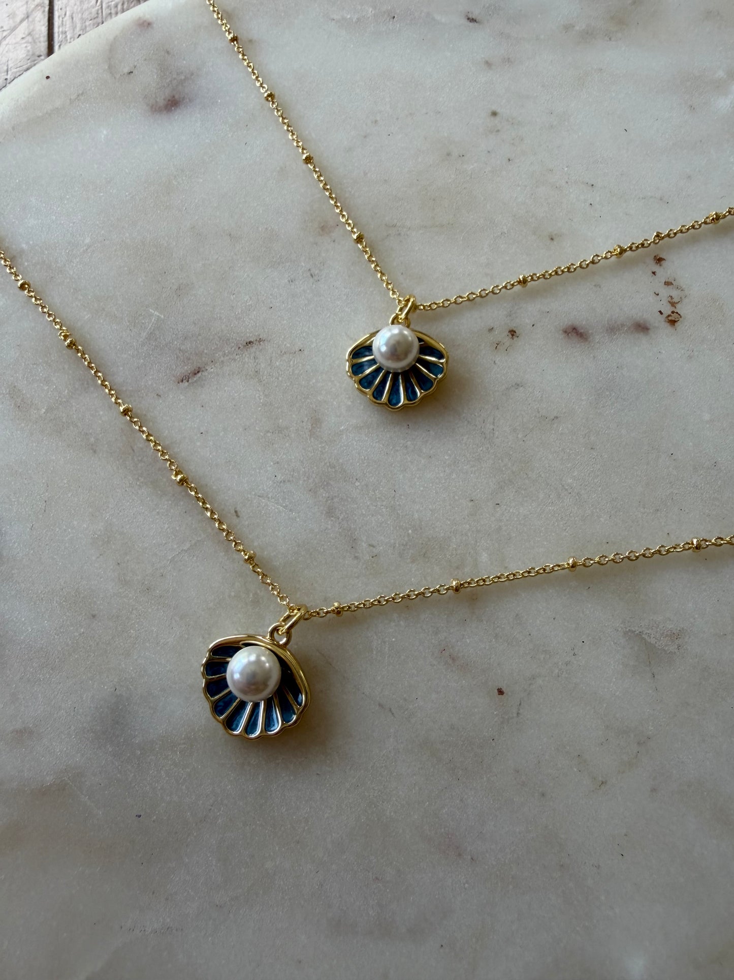 Seashell Necklace