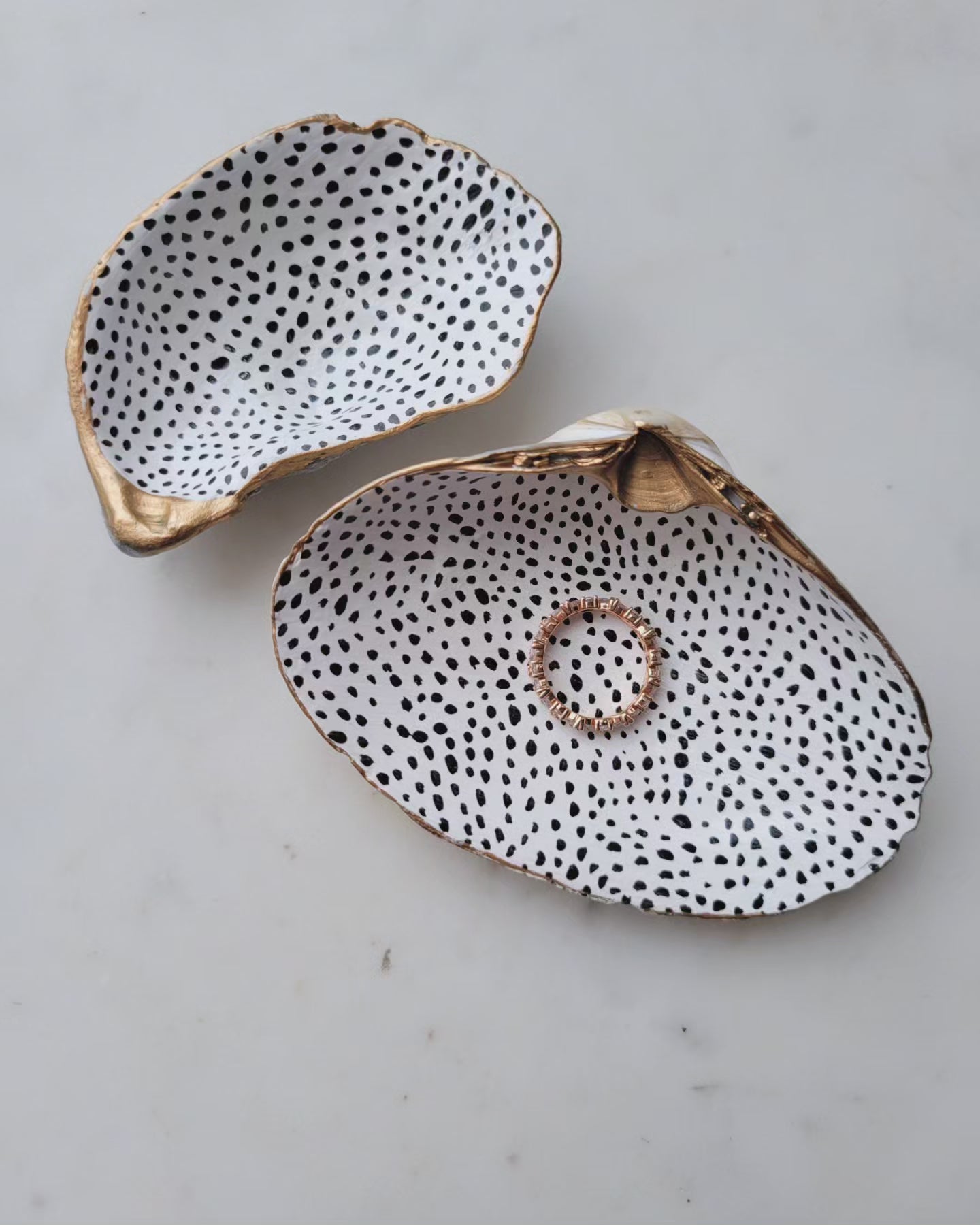 Dottie: Clam Shell Catch-All Dish