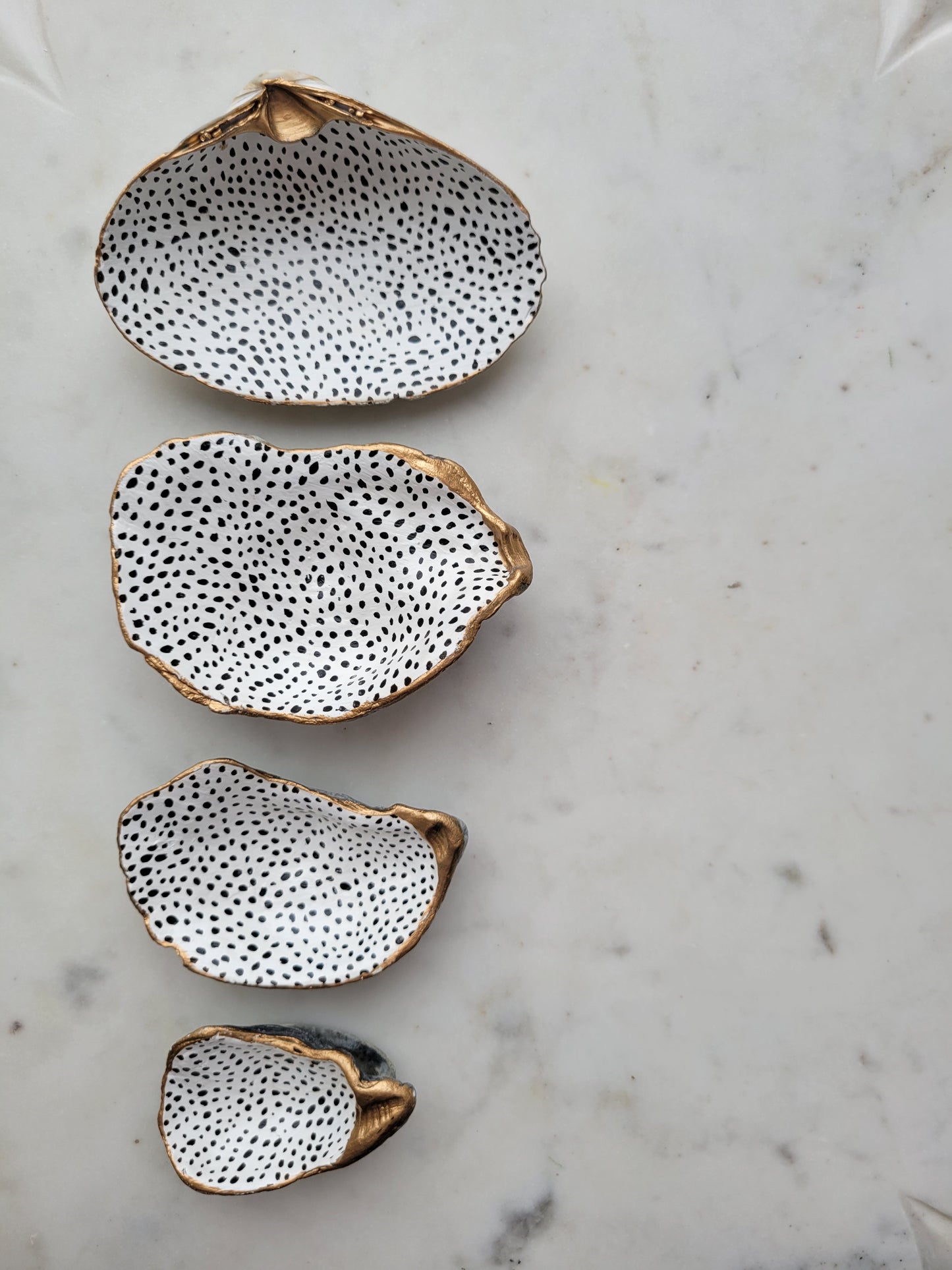 Dottie: Clam Shell Catch-All Dish