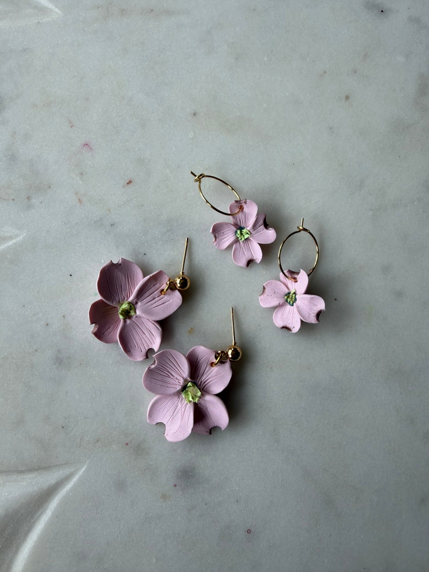 Pink Dogwood Blossoms