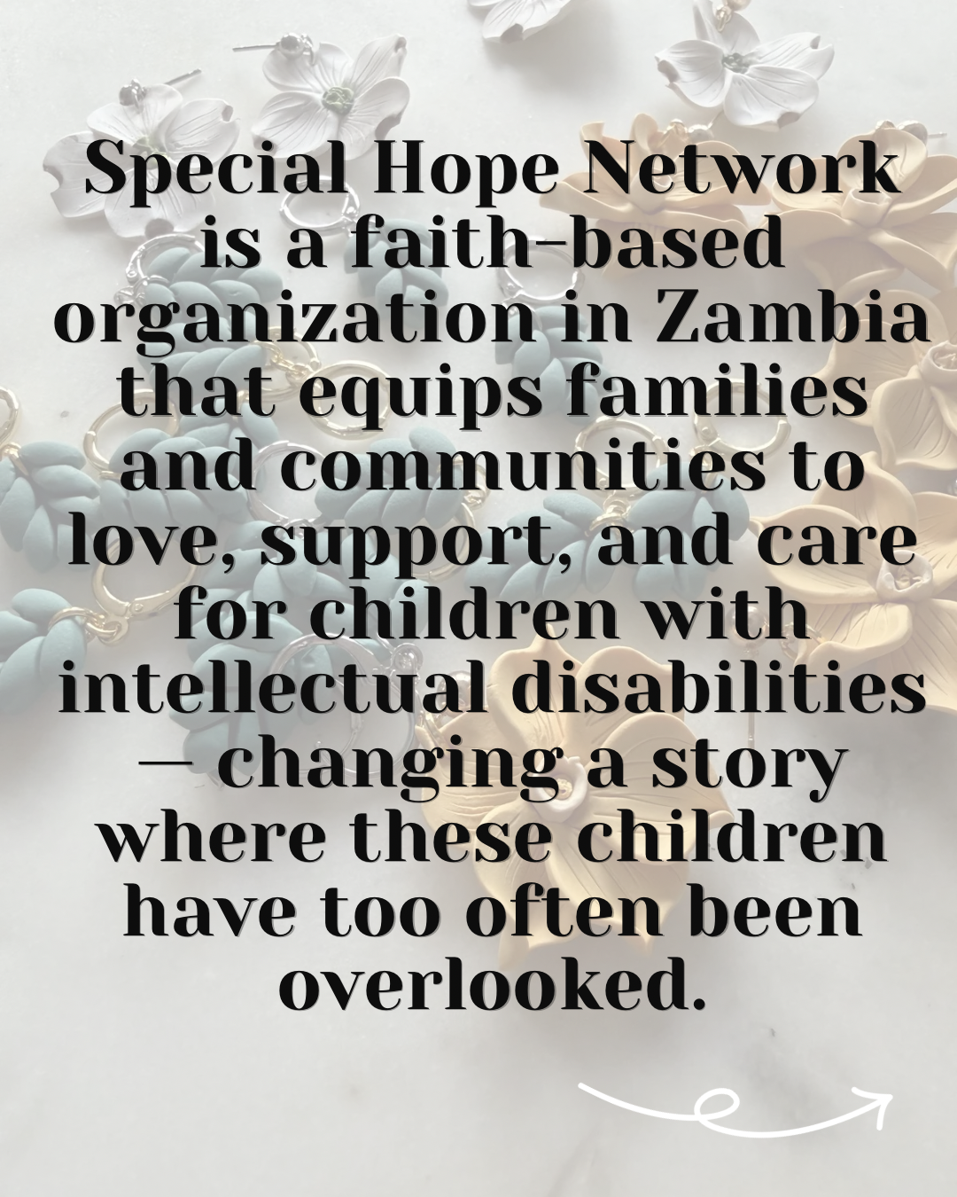 Holly : The Hope Piece for Special Hope Network