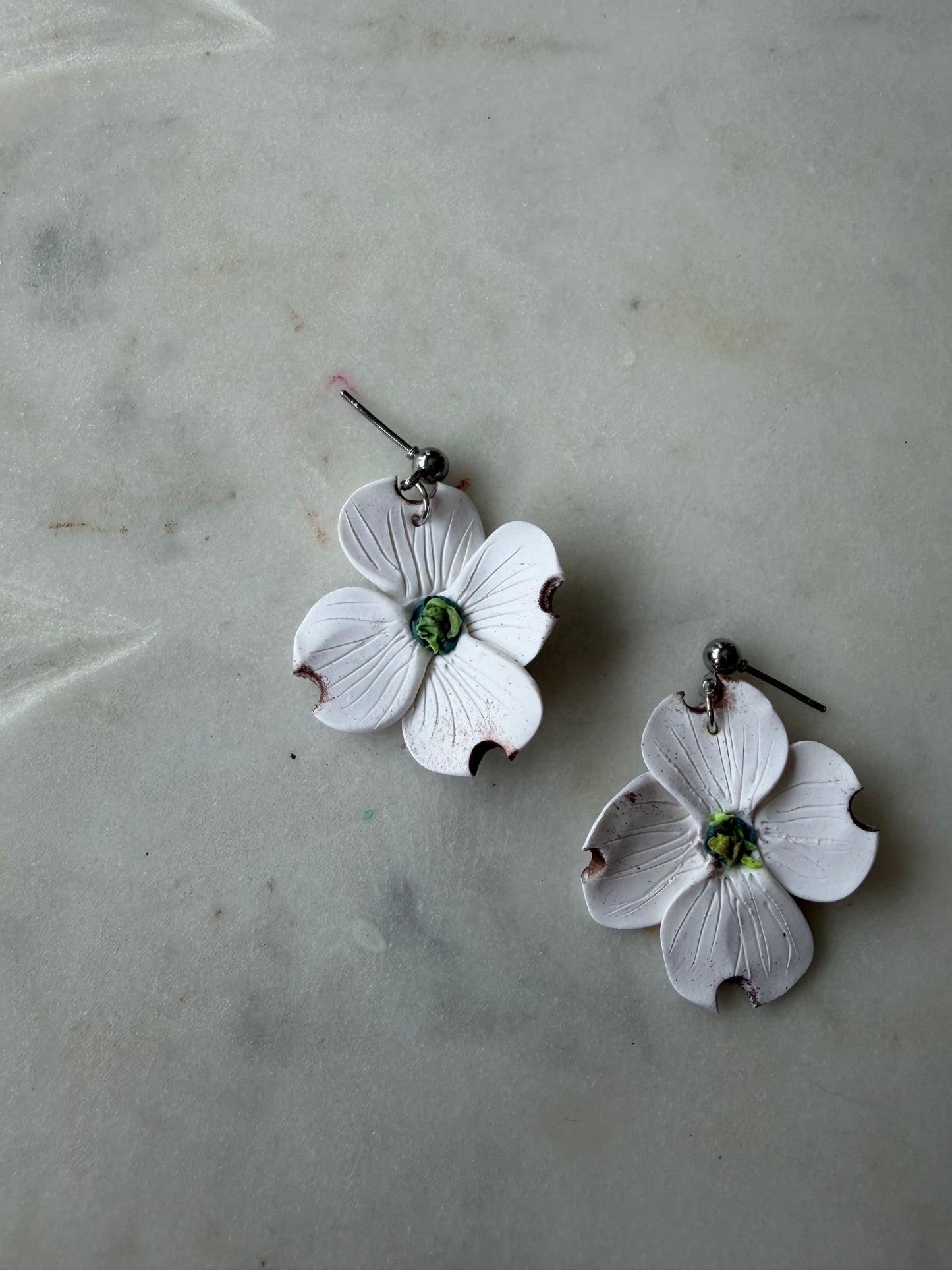 White Dogwood Blossoms