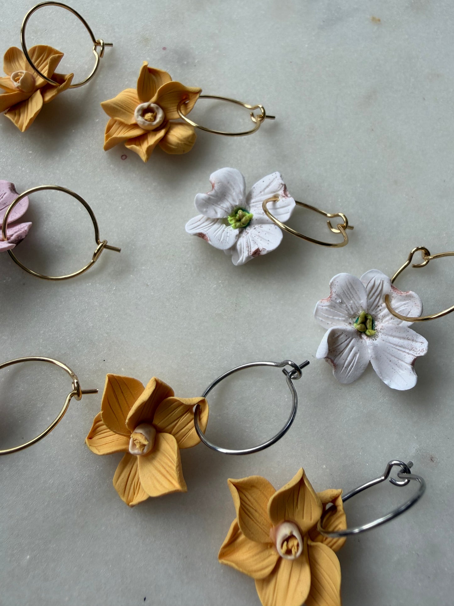 White Dogwood Blossoms