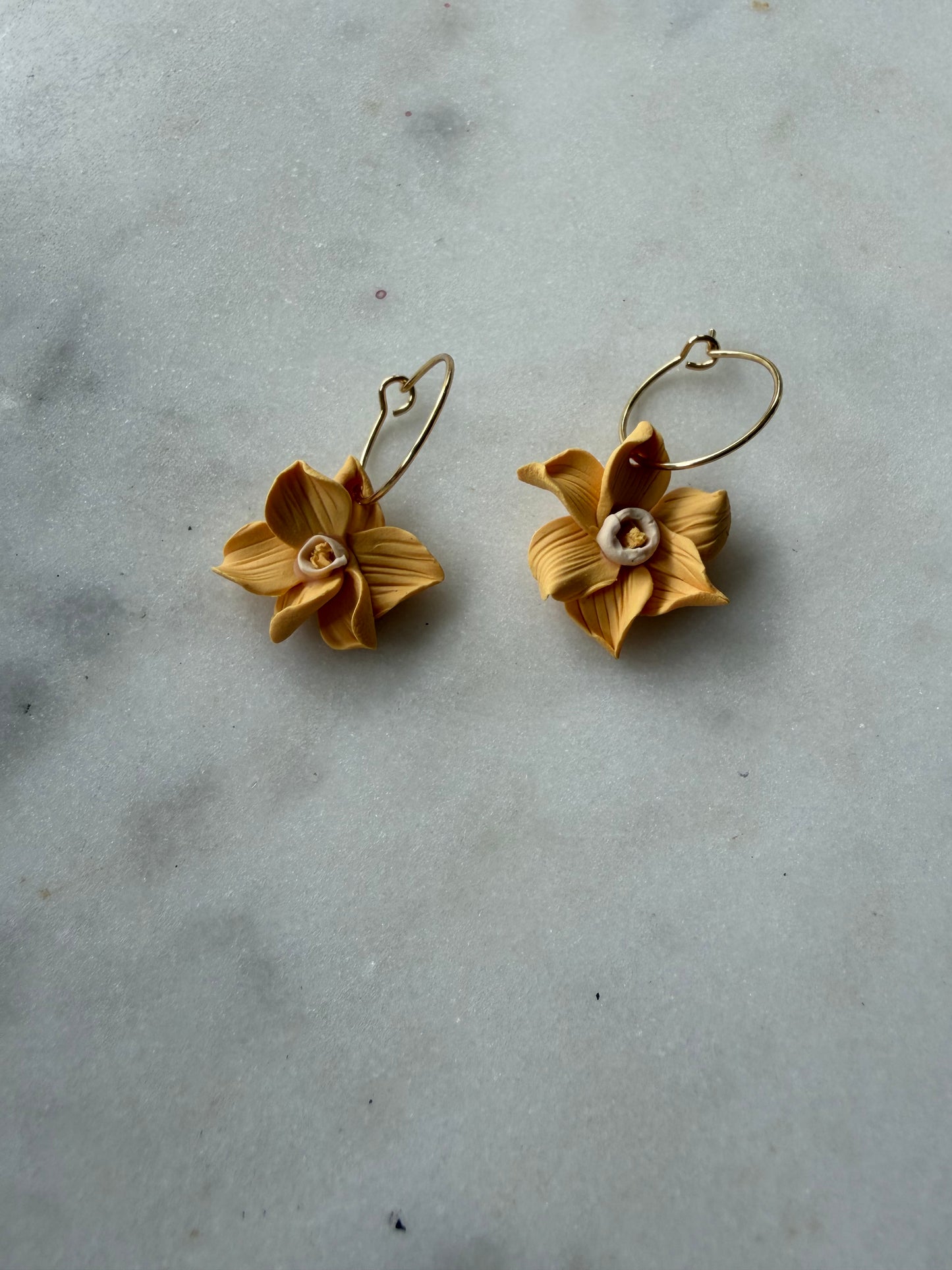 Daffodils