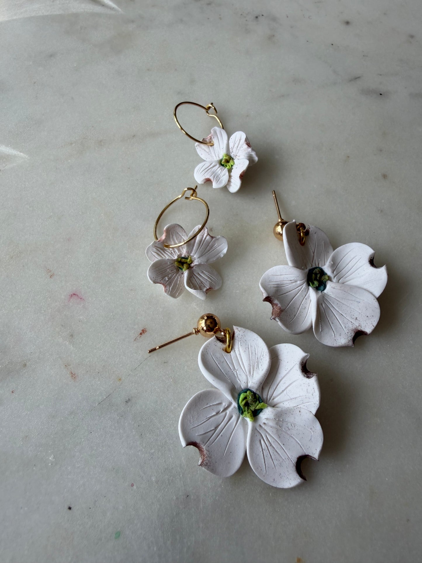 White Dogwood Blossoms