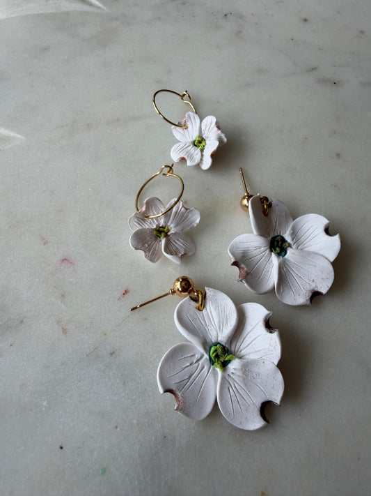White Dogwood Blossoms