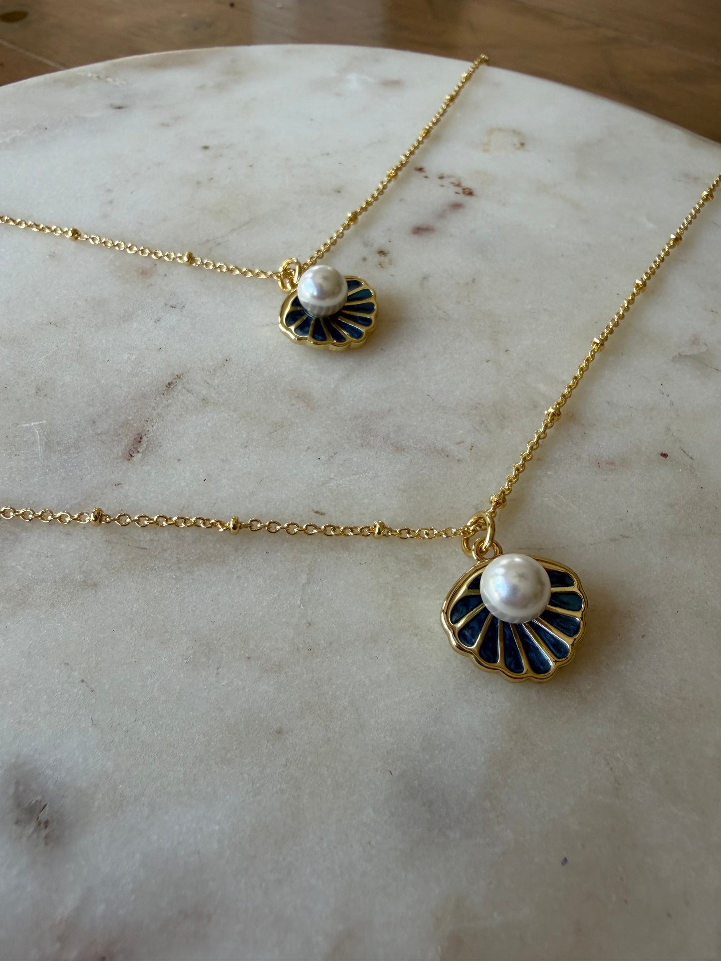 Seashell Necklace