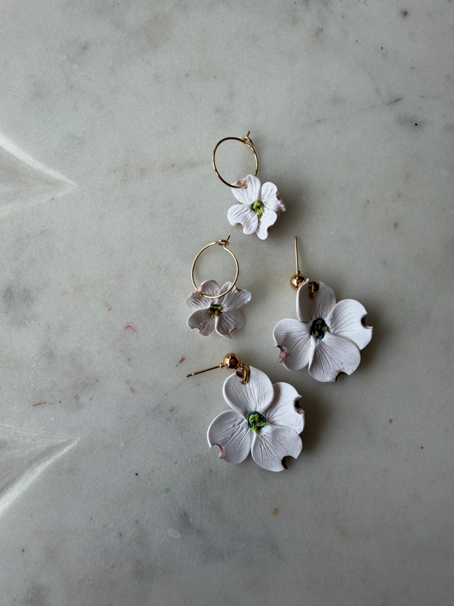 White Dogwood Blossoms