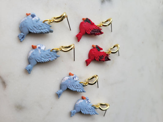 Birds: Cardinals