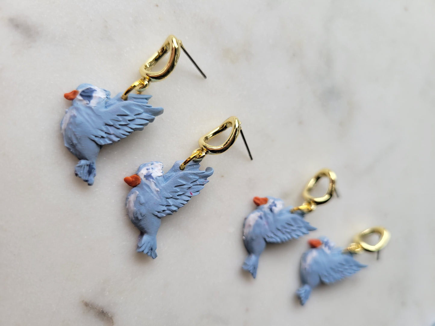 Birds: Bluebirds