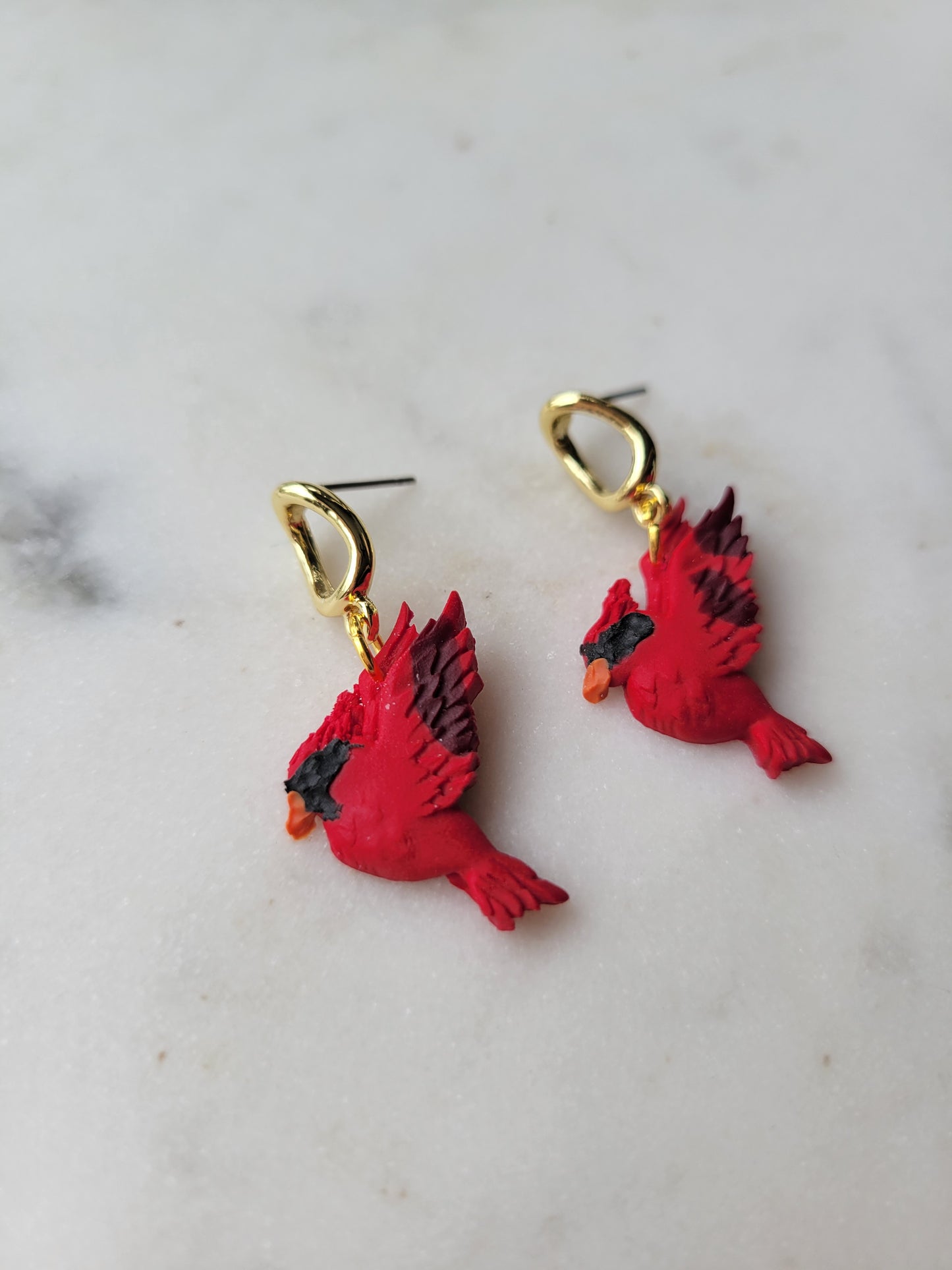 Birds: Cardinals