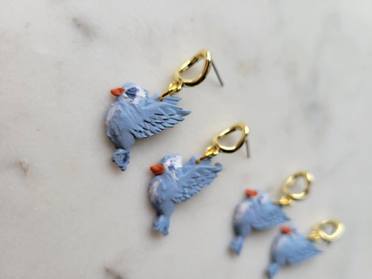 Birds: Bluebirds